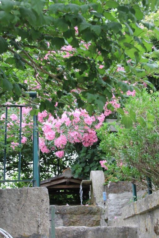 Quinta Do Pinheiral Villa Favoes Bagian luar foto